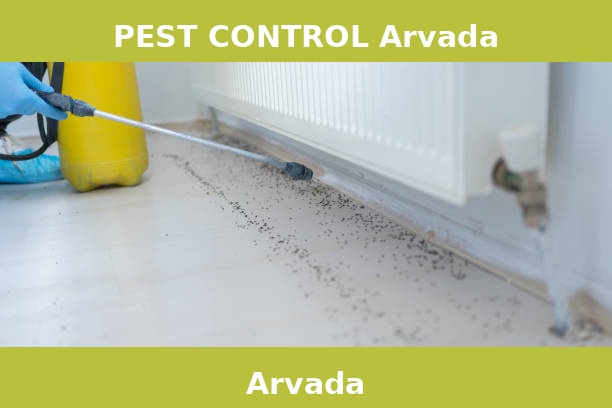 PEST CONTROL Arvada